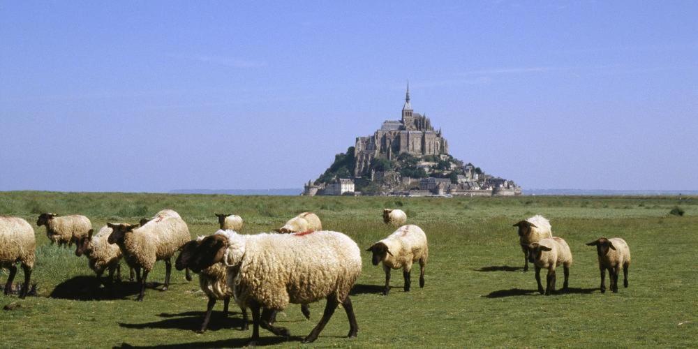 Chambres D'Hotes Avec Piscine Aux Agapanthes De Cromel - Mont Saint Michel Exterior photo
